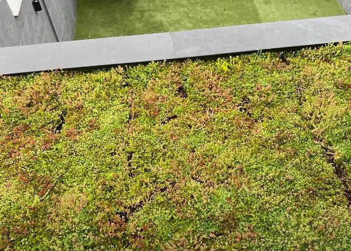 Apartment Ereva Seaside Cosy 1 Bedroom With Garden *